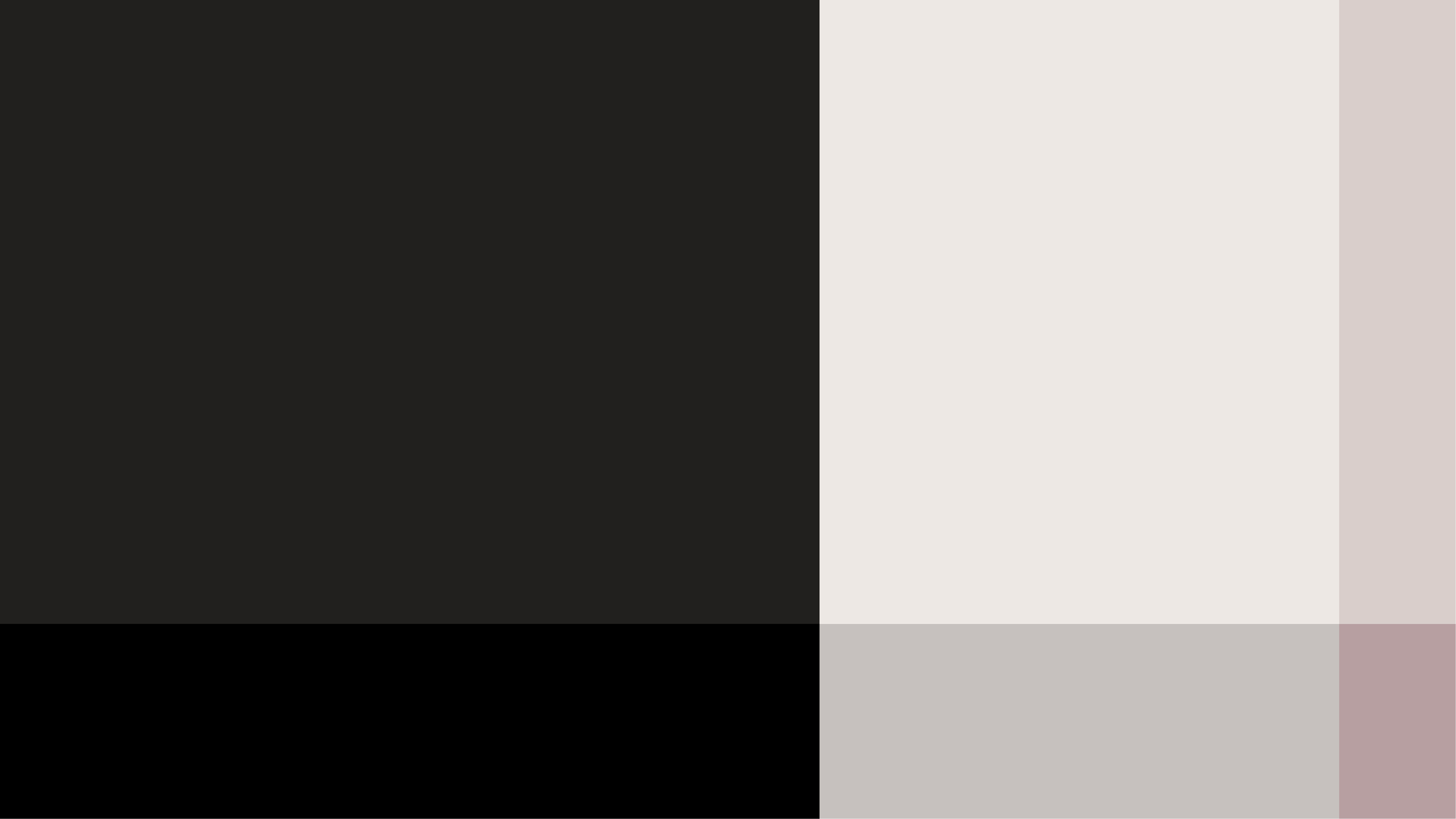 Paleta de cores da identidade visual da WGC